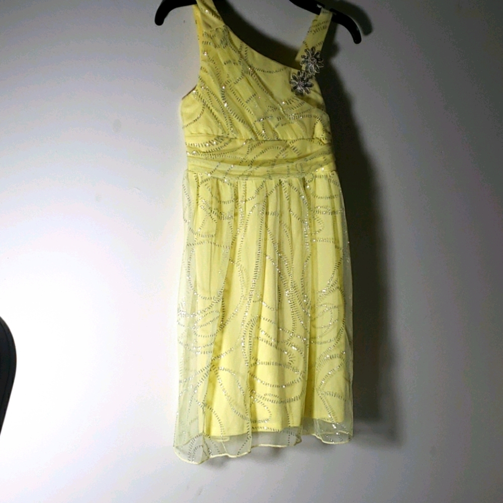 Amy Wear social dress